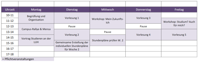 Hochschulpraktikum Beispielstundenplan