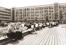 Picture: Conti-Campus, students in the courtyard