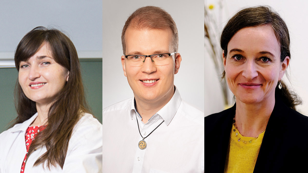Porträtfotos von Prof. Dr. Natalia Tschowri, Prof. Dr. Marius Lindauer und Ass. Prof. Dr. Catherine Herfeld