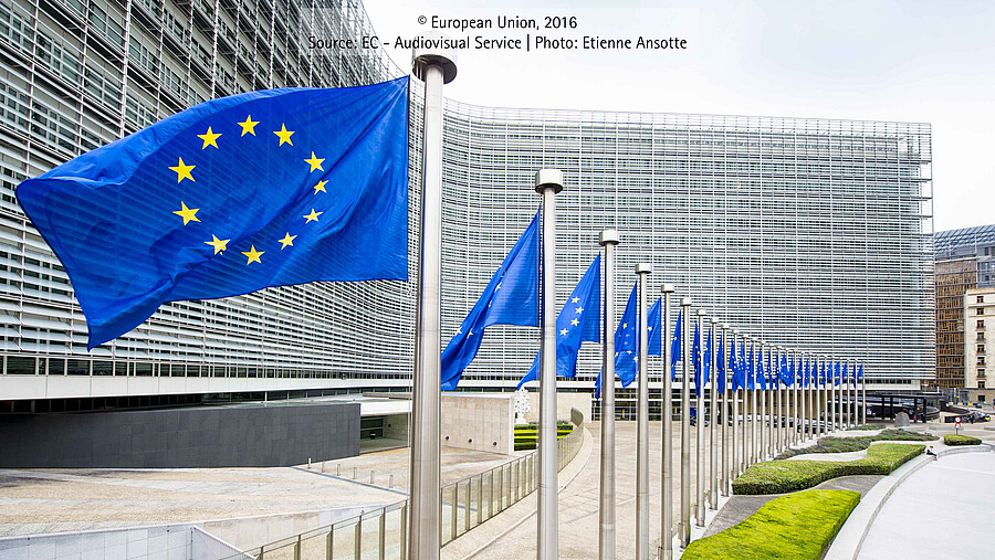 European flags in front of a building.