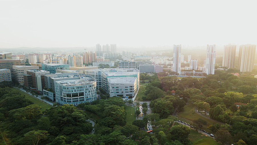 A city with a park and skyscrapers from above.
